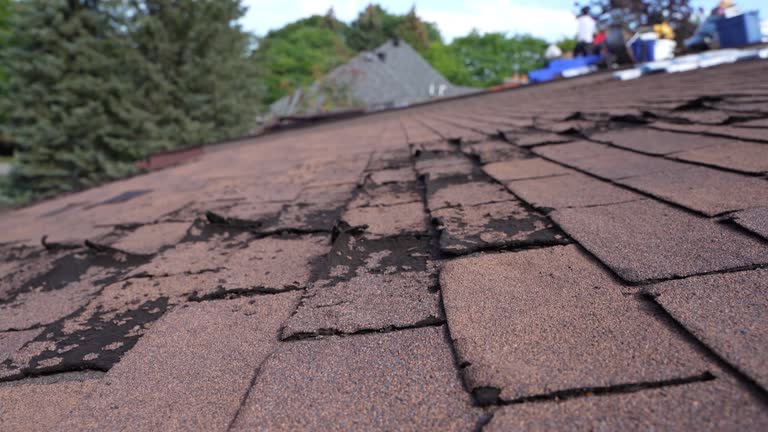 4 Ply Roofing in Basile, LA